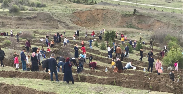 Durucasu Köyü'nde fidanlar toprakla buluştu