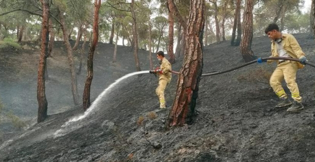 Ormana düşen yıldırım yangın çıkardı